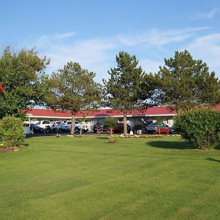 Blue Jay Motel Peterborough Dış mekan fotoğraf