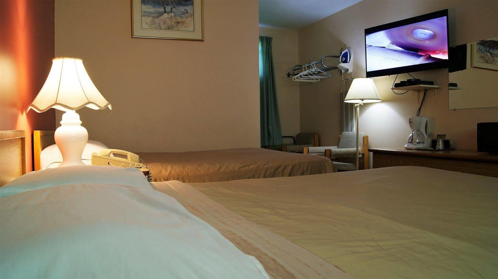 Blue Jay Motel Peterborough Dış mekan fotoğraf