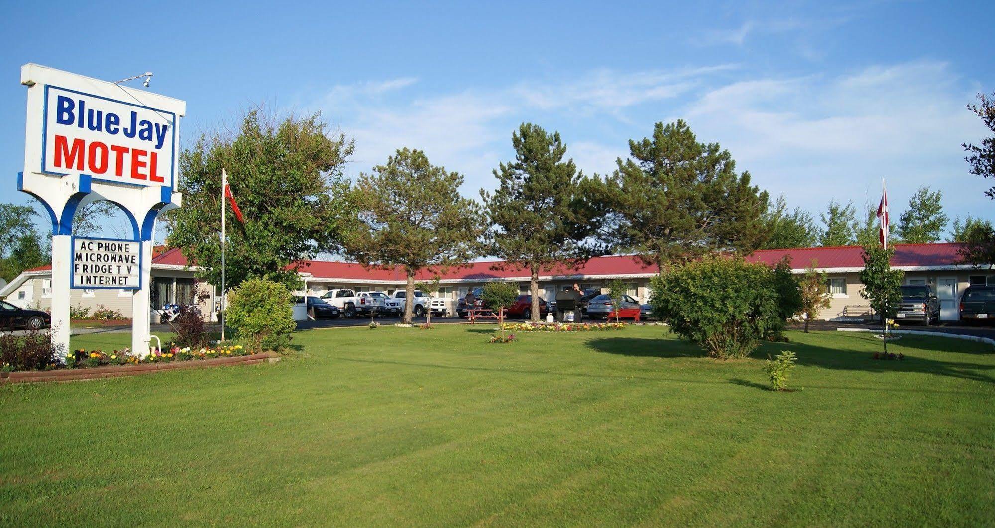 Blue Jay Motel Peterborough Dış mekan fotoğraf