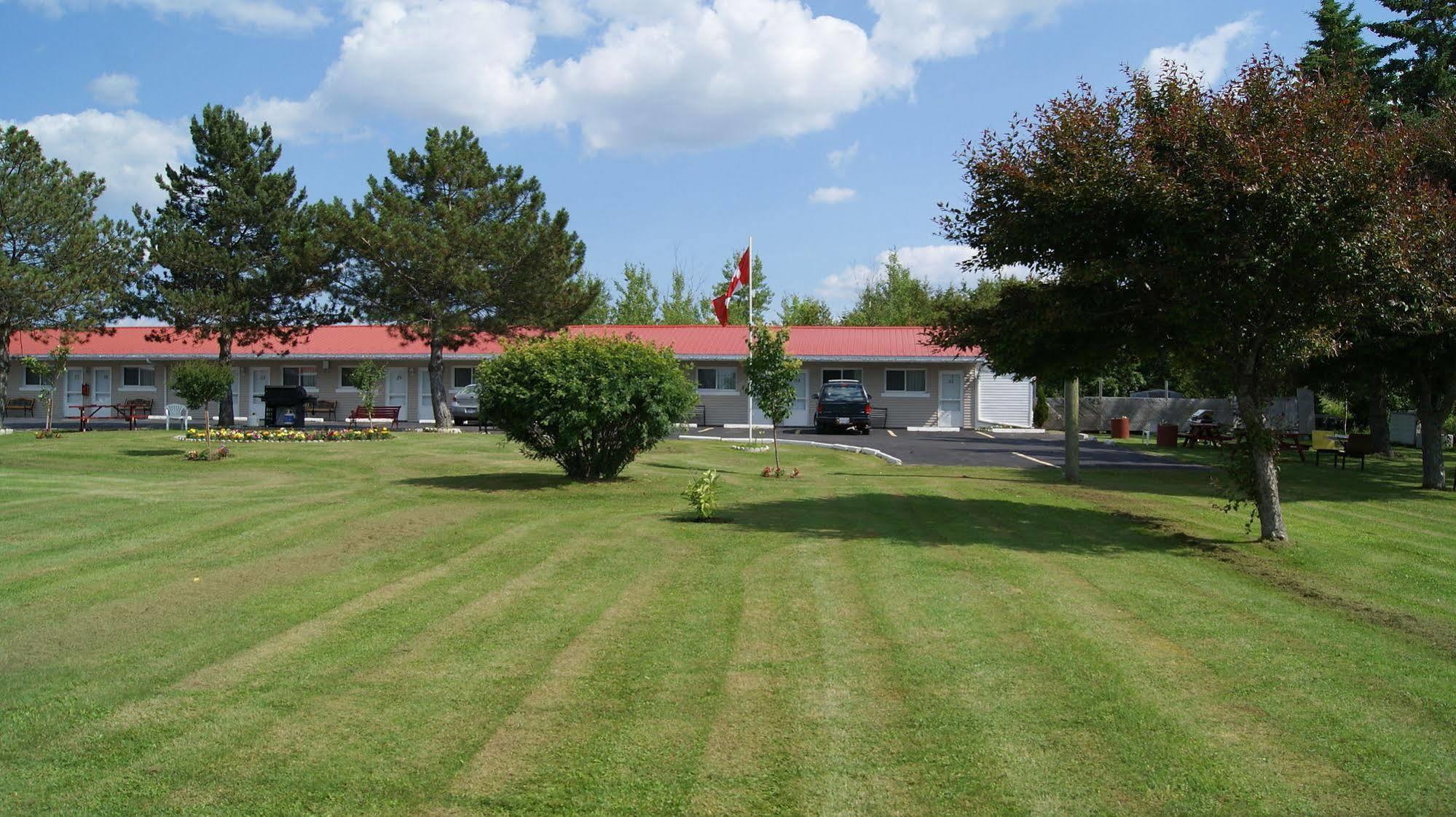Blue Jay Motel Peterborough Dış mekan fotoğraf